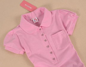 韩国原单爆款Polo领纯棉T恤 代理价格、厂家信息与零售指南